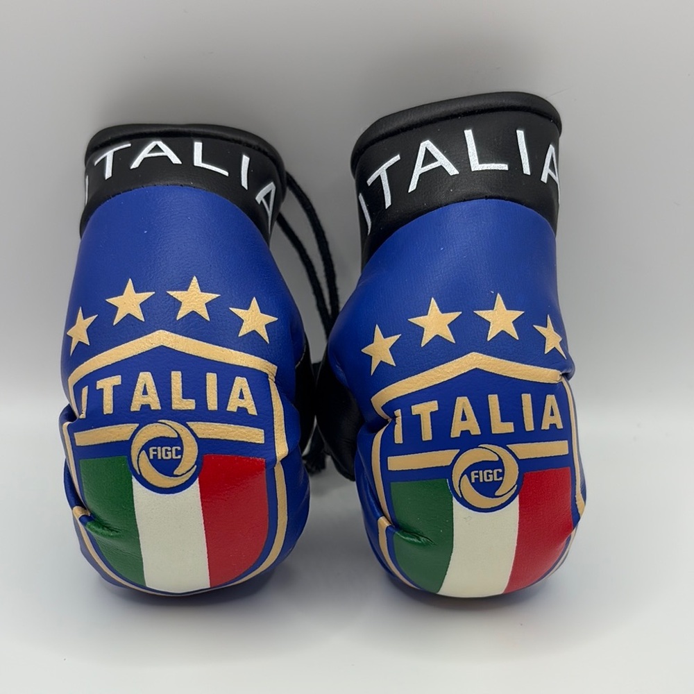 Mini 4” Italian Boxing Gloves Blue Black with Gold Stars and Italian Flag NEW